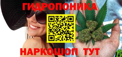 гидра Донской