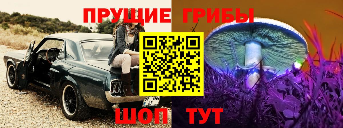 Галлюциногенные грибы Psilocybe Валуйки
