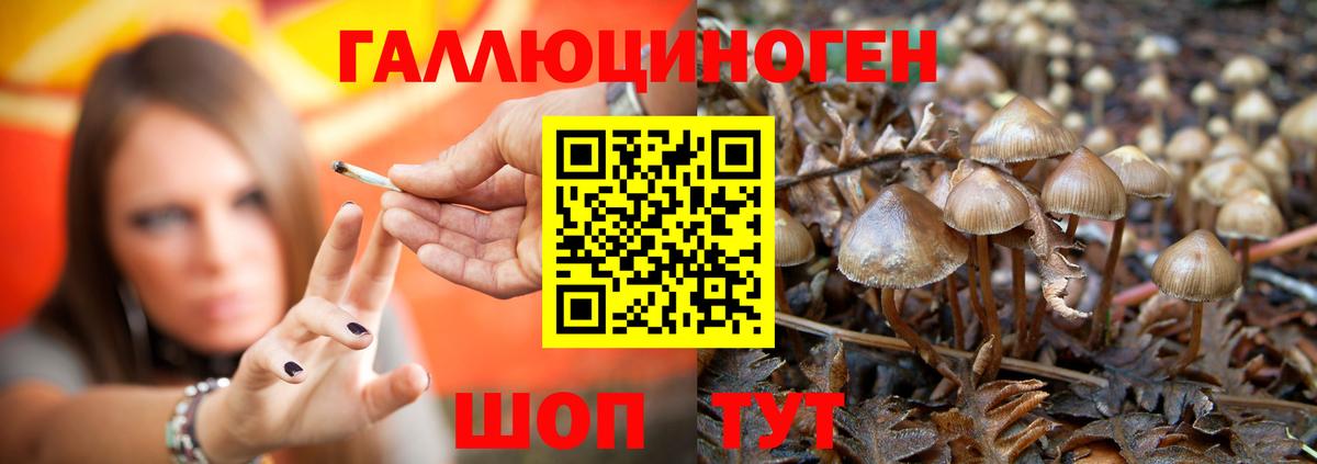 Валуйки  Псилоцибиновые грибы Psilocybe  купить наркотики сайты  Вход с VPN 