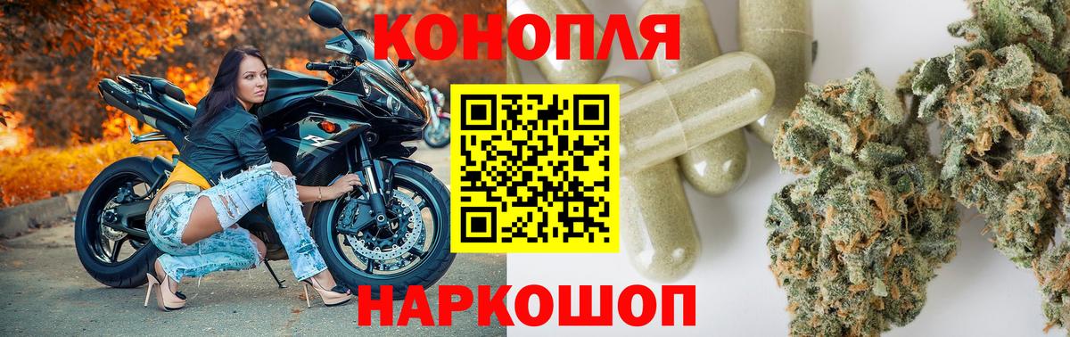 Бошки марихуана ГИДРОПОН Валуйки